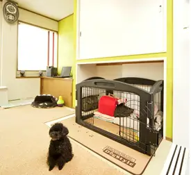 ワンランク上の暮らしができるお家