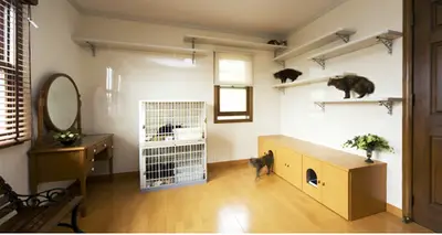 ペットと暮らしやすい家へ