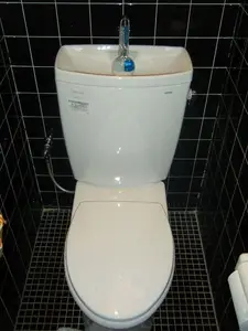 今風の節水トイレに