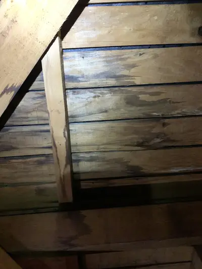 瓦屋根葺き替え工事