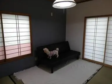 施工事例画像