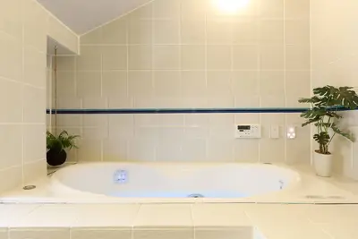 ジャグジー付き浴槽とモノトーンの洗面室