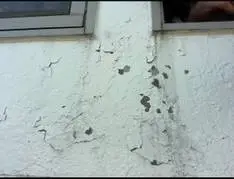 水が入っている状態の外壁を補修