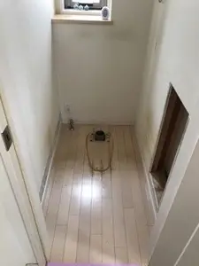 トイレ交換に伴いクロスも張り替え