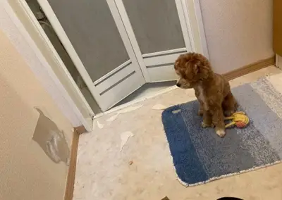 反省してます。