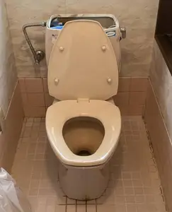汚れをしっかり洗い流すパワーストリーム洗浄トイレ