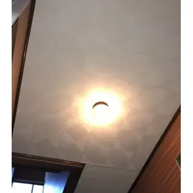【雨漏り】天井塗装