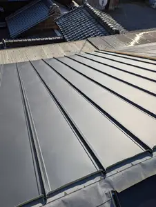 寝屋川市 屋根補修工事