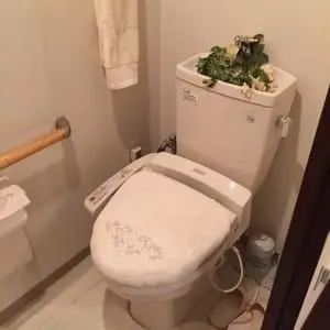 おテ入れしやすい節水タイプのトイレに変更
