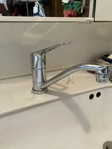 蛇口交換