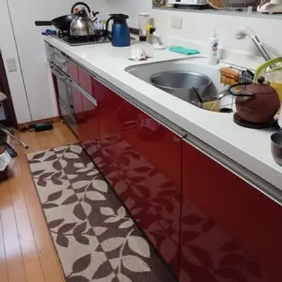 キッチンと玄関ドアリフォーム