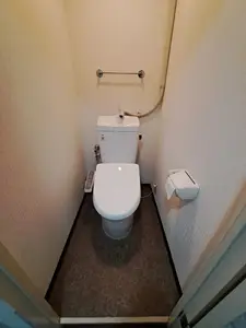 LIXIL製：アメージュ便器・CF