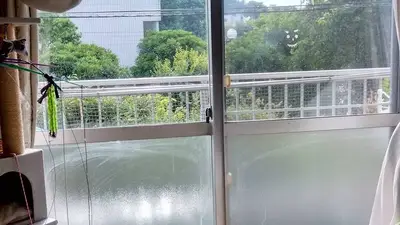 サムネイル 2