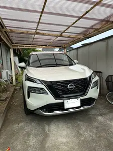 ガレージ屋根の張替え
