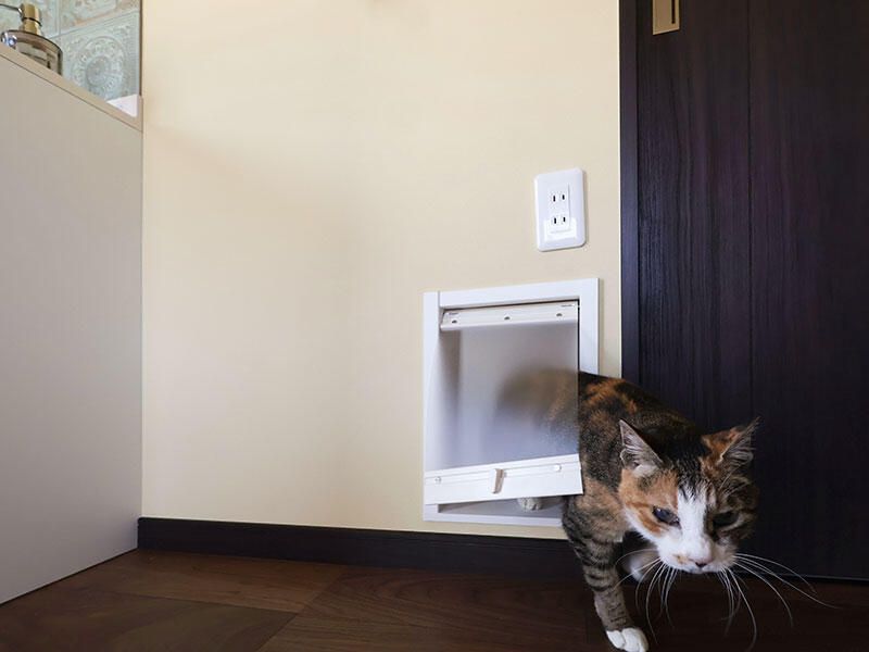 猫ちゃんと一緒に、ゆったり夫婦時間