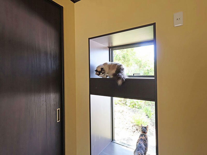 猫ちゃんと一緒に、ゆったり夫婦時間