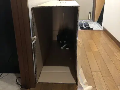 トイレ故障に伴い部分リフォーム