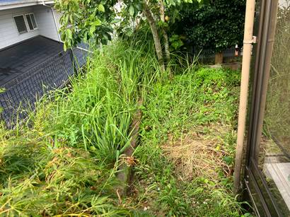 【一戸建てお庭の雑草草むしり、スッキリお庭】
