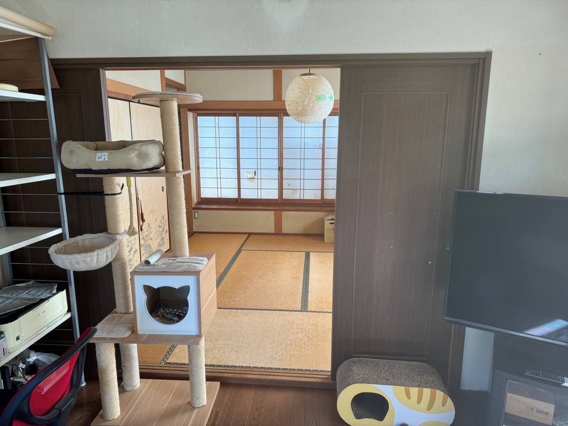 ねことくつろぐ、小さなヌックが心地よい家