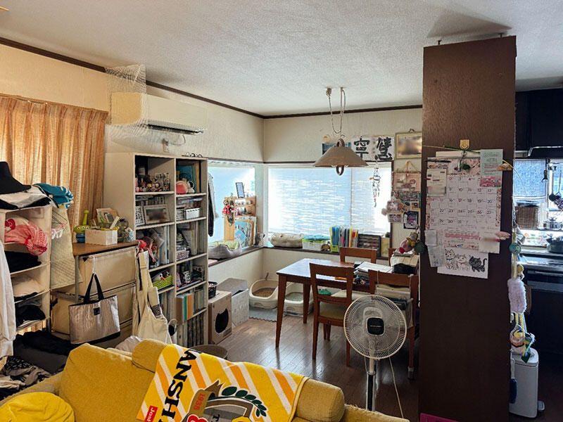 ねことくつろぐ、小さなヌックが心地よい家