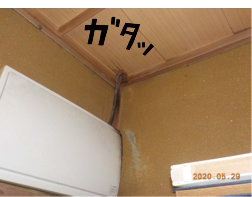 ネズミ防除