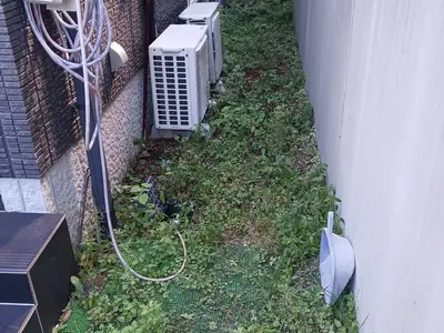 サムネイル 2
