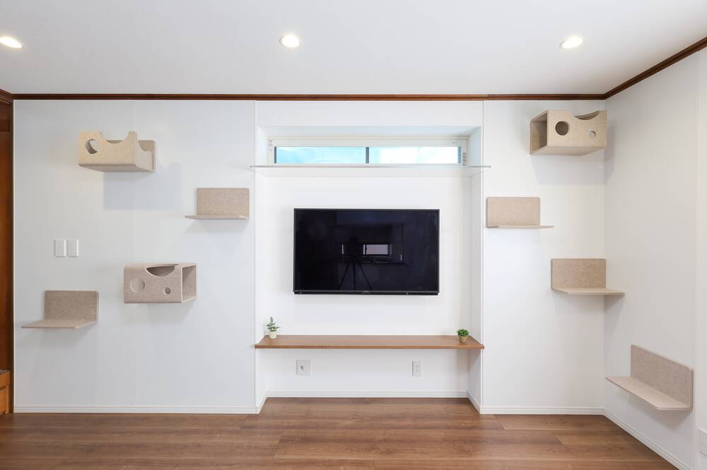 キャットウォークから外を見ている猫の肉球がかわいい住まい