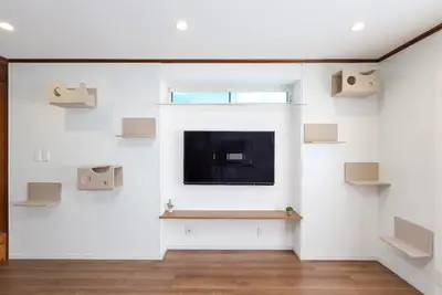 キャットウォークから外を見ている猫の肉球がかわいい住まい