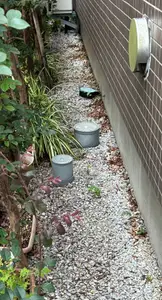 サムネイル 2