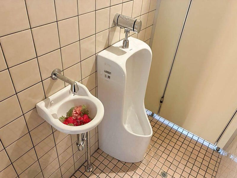 長年使ったトイレを最新型に