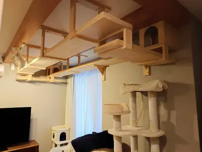 猫ちゃんの遊べるキャットウォーク