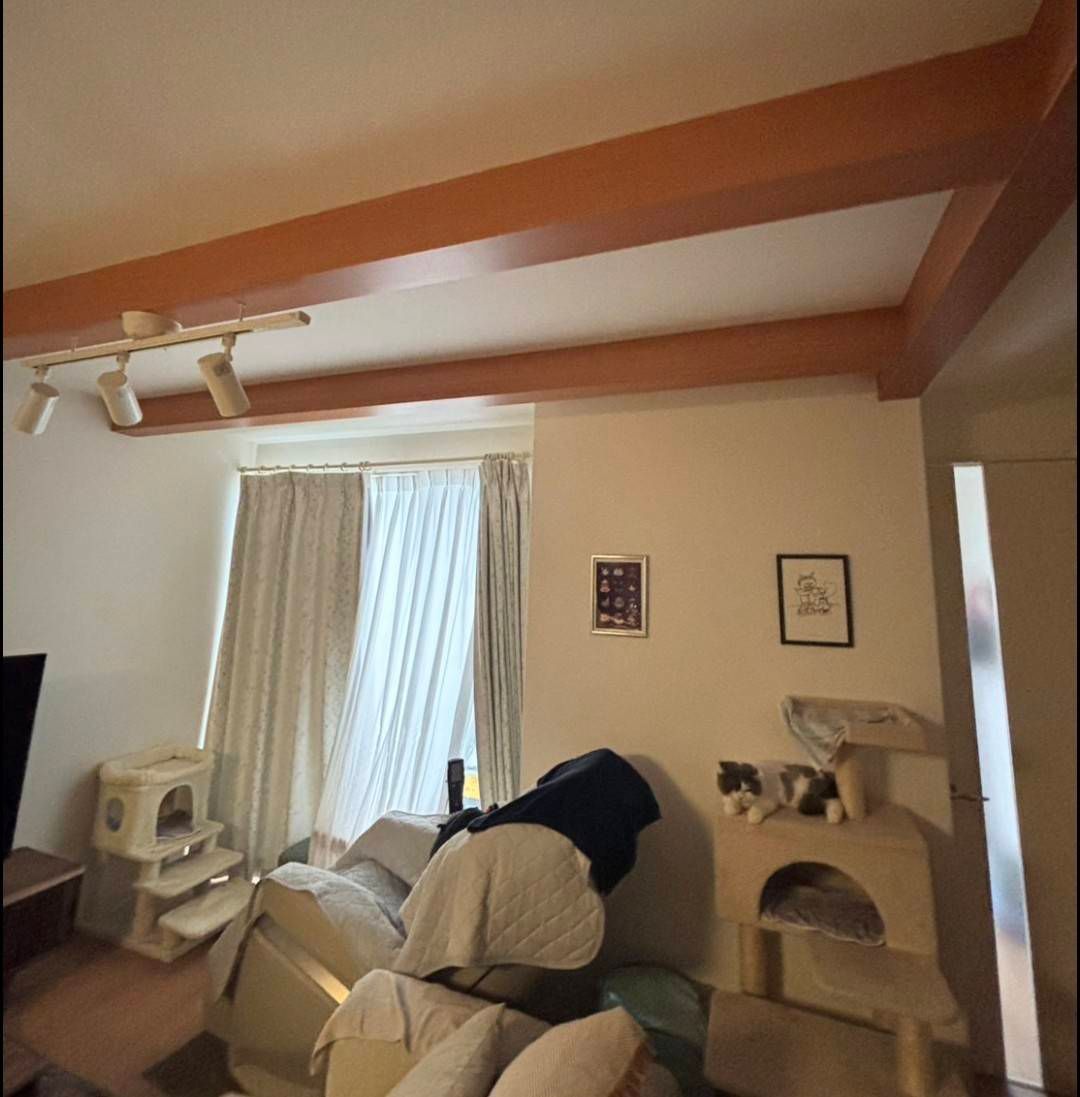 猫ちゃんの遊べるキャットウォーク