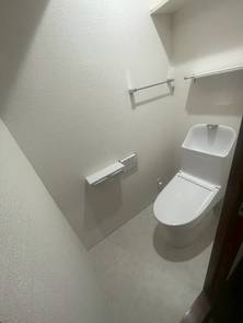 大きめの洗面台とすっきりしたトイレ