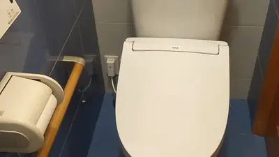 普通のトイレ交換