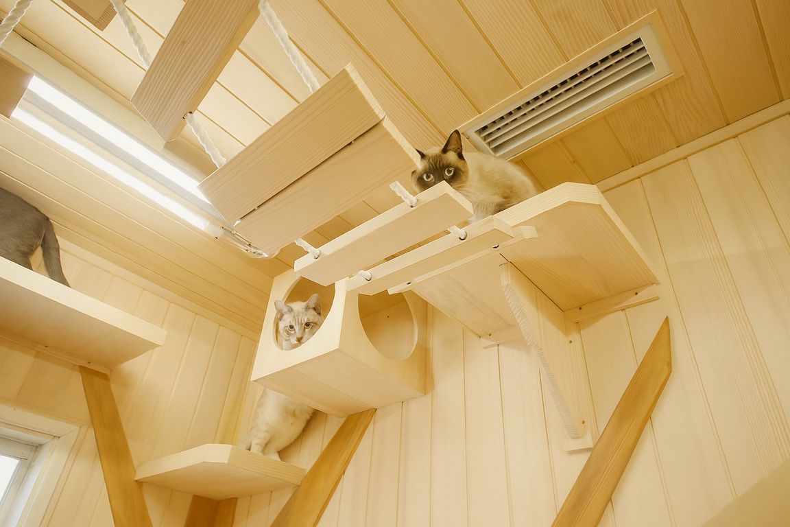 保護猫が安心して暮らせる部屋を消臭