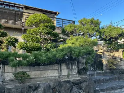 庭木が隣家に越境したため剪定でコンパクトに整備