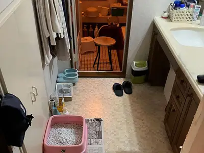 サムネイル 3
