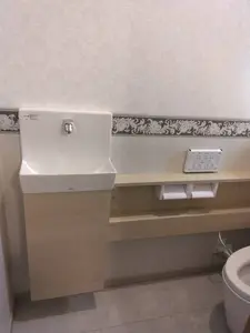 エレガントな内装と独立手洗いを設けたトイレ空間