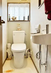 玄関ドア、トイレのリフォームで使いやすくキレイに!明るく!
