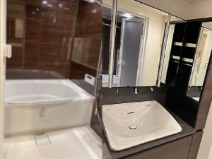 大理石とオークが調和する麻布十番の2LDK