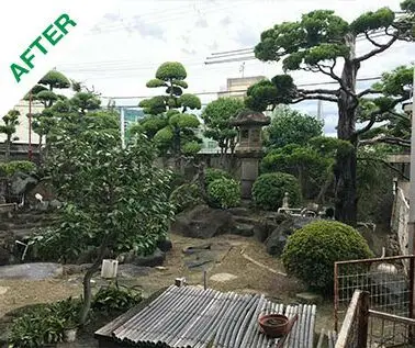 雑草を剪除し日本庭園の美しさを取り戻す剪定