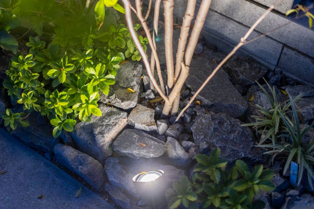 ライトアップが植栽を魅せる和モダンの夜景外構