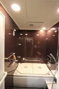 落ち着いた雰囲気の浴室に