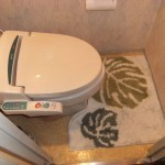 コンパクトなタンクレスタイプのトイレで狭い空間を広く