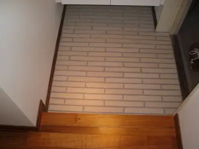 粗影石（そえいせき）