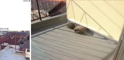 「カラフル・リフォーム」視覚で楽しむ家のリフォーム事例