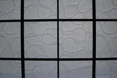 ペットと暮らす、趣味を楽しむ空間