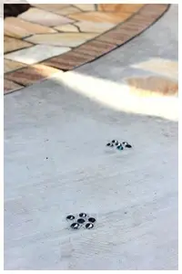 趣味も広がるバリアフリー