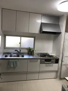 愛する猫ちゃんの事を考えて…