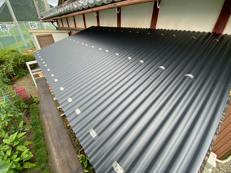 ���������ꂢ��